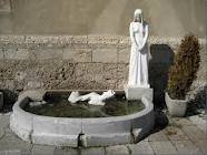 Mestni vodnjak in šampon